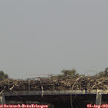 14_20-mast.jpg