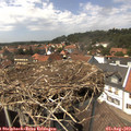 14_20-nest.jpg