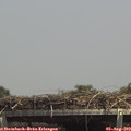 14_25-mast.jpg