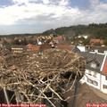 14_25-nest.jpg