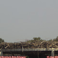 14_30-mast.jpg