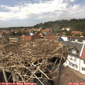 14_30-nest.jpg