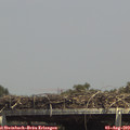 14_35-mast.jpg