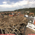 14_35-nest.jpg