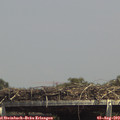 14_40-mast.jpg