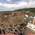 14_40-nest.jpg