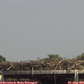 14_45-mast.jpg