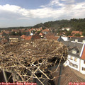 14_45-nest.jpg