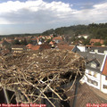 14_55-nest.jpg