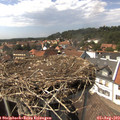 15_00-nest.jpg