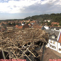 15_05-nest.jpg