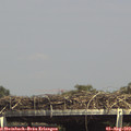 15_10-mast.jpg