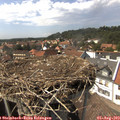 15_10-nest.jpg