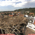 15_15-nest.jpg