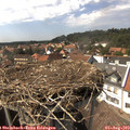 15_20-nest.jpg