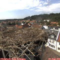 15_25-nest.jpg