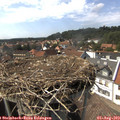 15_30-nest.jpg