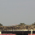 15_35-mast.jpg