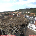 15_35-nest.jpg