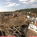 15_40-nest.jpg