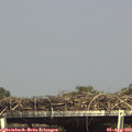 15_45-mast.jpg