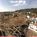 15_45-nest.jpg