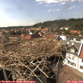 15_50-nest.jpg