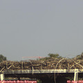15_55-mast.jpg
