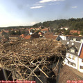 15_55-nest.jpg