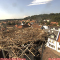 16_00-nest.jpg