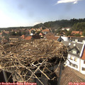 16_05-nest.jpg