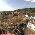 16_10-nest.jpg