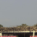 16_20-mast.jpg