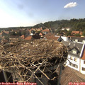 16_30-nest.jpg