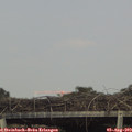 16_45-mast.jpg