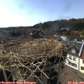 16_45-nest.jpg
