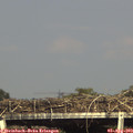 16_50-mast.jpg