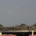 16_55-mast.jpg