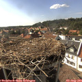17_00-nest.jpg