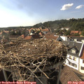 17_05-nest.jpg