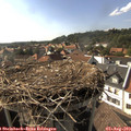 17_10-nest.jpg