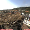 17_15-nest.jpg