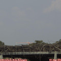 17_20-mast.jpg