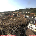 17_20-nest.jpg
