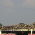 17_25-mast.jpg