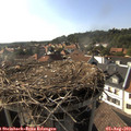 17_25-nest.jpg