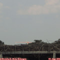 17_35-mast.jpg