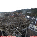 17_35-nest.jpg