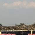 17_40-mast.jpg