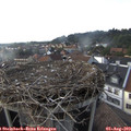 17_40-nest.jpg